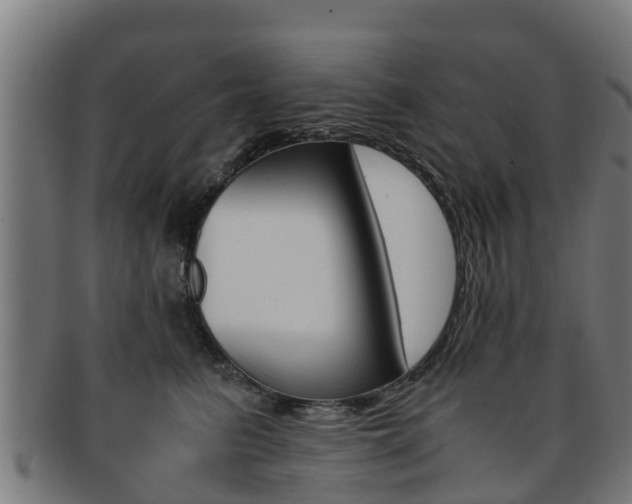X0000091920615200709051232