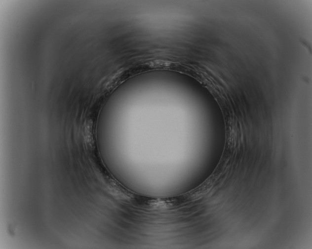X0000091920616200709051232