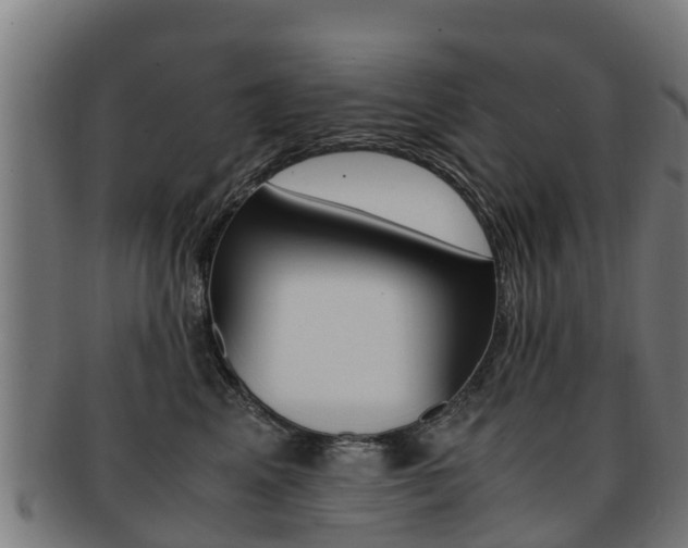 X0000091920617200709051232