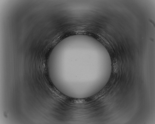 X0000091920618200709051232