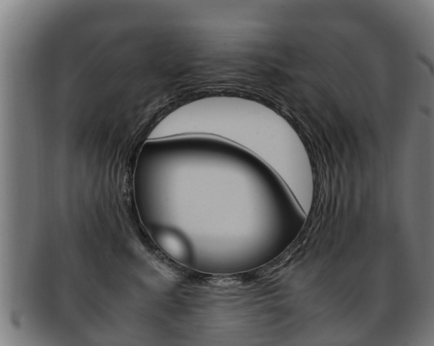 X0000091920619200709051232