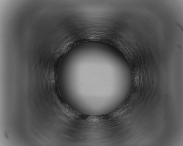 X0000091920620200709051232
