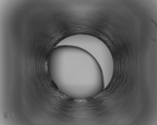 X0000091920621200709051232
