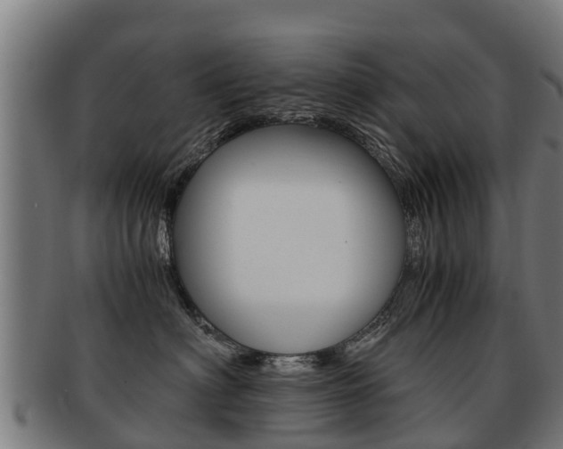 X0000091920622200709051232