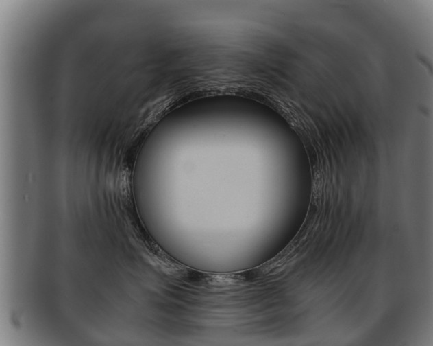 X0000091920623200709051232