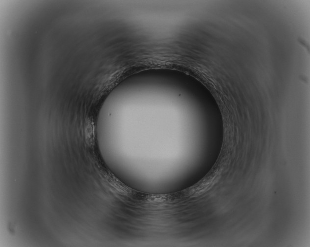X0000091920624200709051232