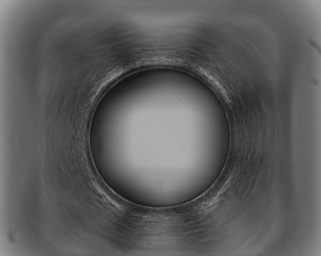 X0000091920625200709051231