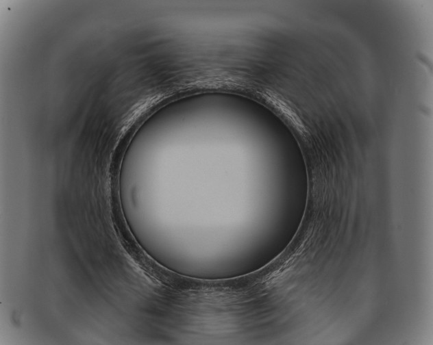 X0000091920626200709051231