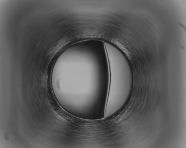X0000091920627200709051231