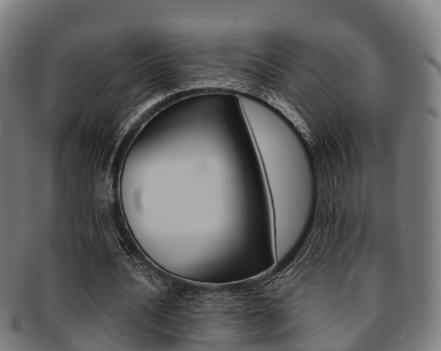 X0000091920628200709051231