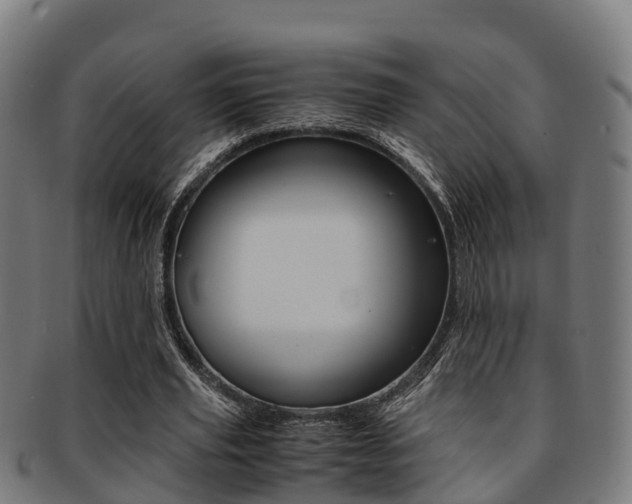 X0000091920629200709051231