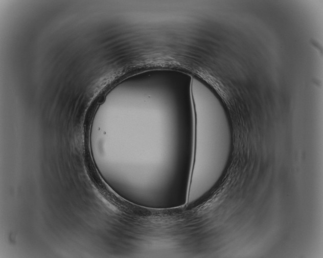 X0000091920630200709051231
