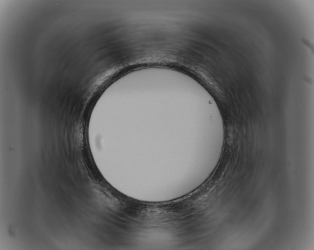 X0000091920632200709051231