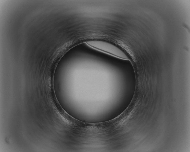 X0000091920633200709051231