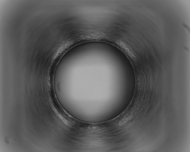 X0000091920634200709051231