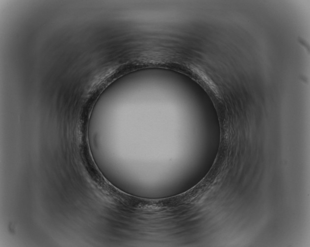 X0000091920635200709051231