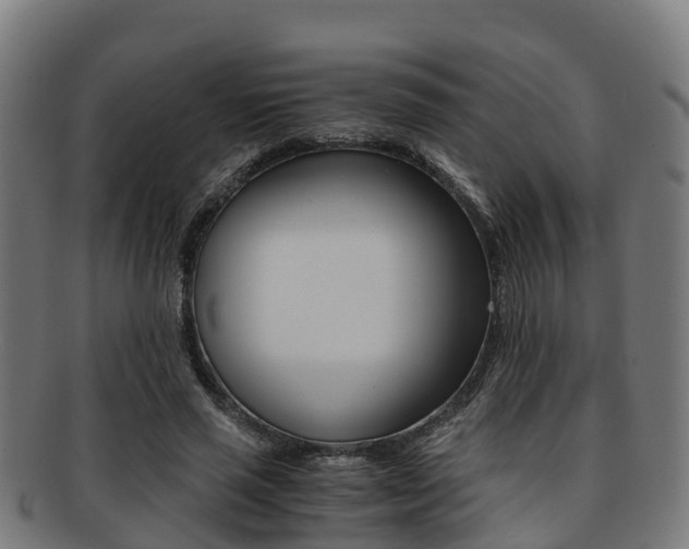 X0000091920637200709051231