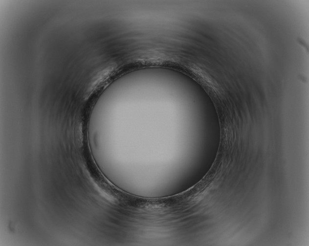 X0000091920638200709051231