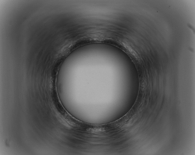 X0000091920639200709051231