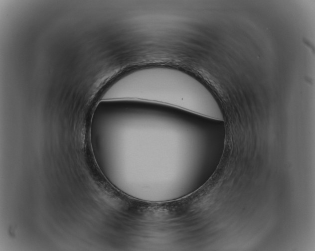 X0000091920640200709051231