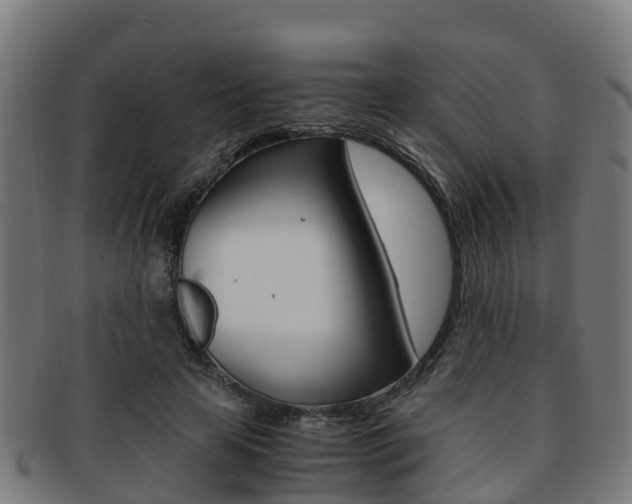 X0000091920641200709051231