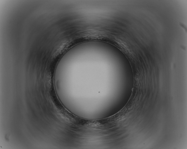 X0000091920642200709051231