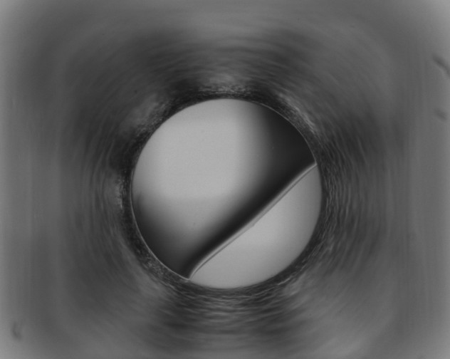 X0000091920643200709051231