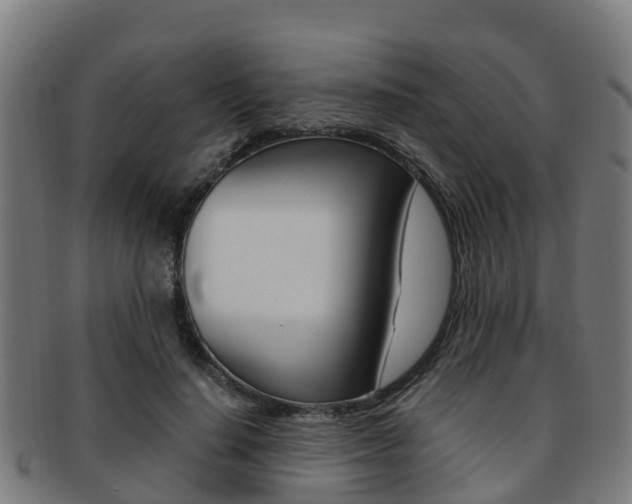 X0000091920644200709051231