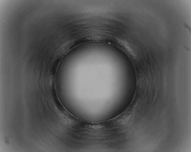 X0000091920645200709051232