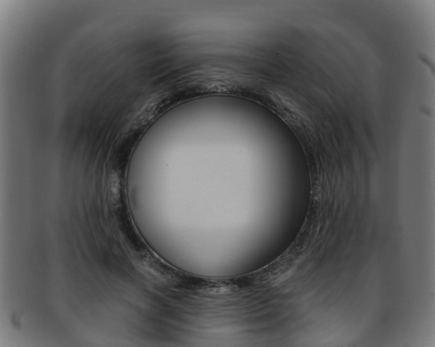X0000091920646200709051232