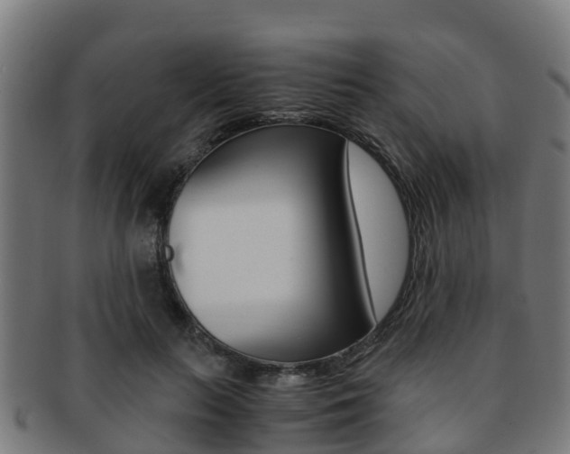 X0000091920647200709051232