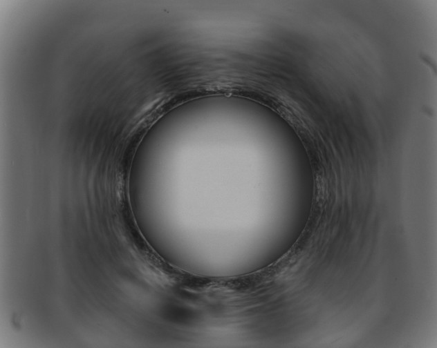 X0000091920648200709051232