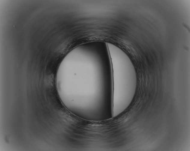 X0000091920649200709051232