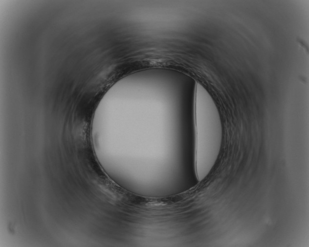 X0000091920650200709051232