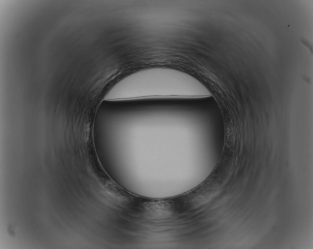 X0000091920652200709051232