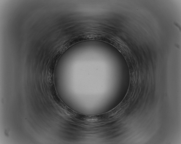 X0000091920653200709051232