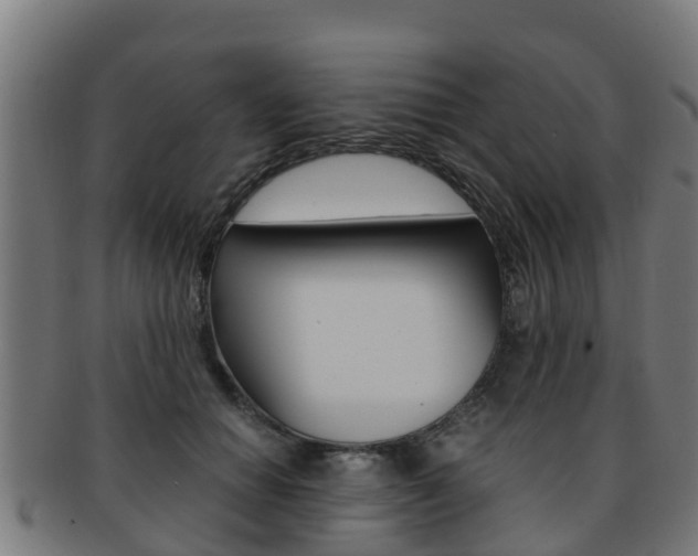 X0000091920654200709051232
