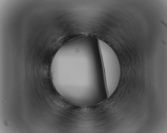 X0000091920656200709051232