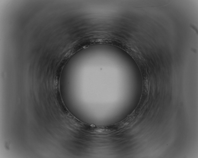 X0000091920657200709051232