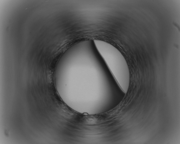 X0000091920658200709051232