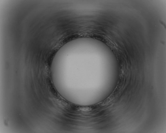 X0000091920659200709051232