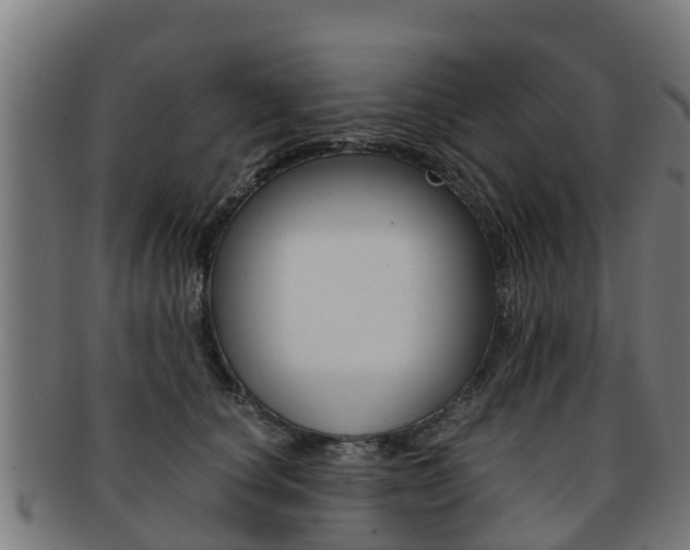 X0000091920660200709051232