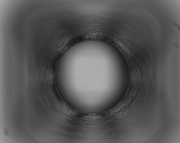 X0000091920661200709051232
