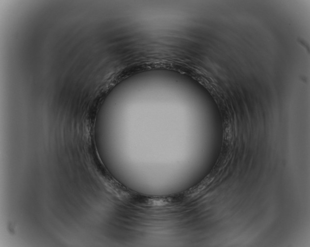 X0000091920662200709051232