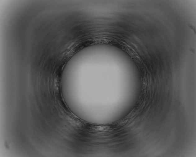X0000091920663200709051232