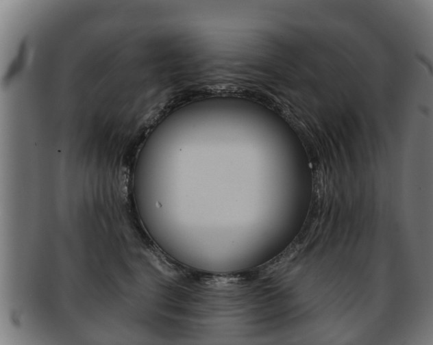 X0000091920664200709051232