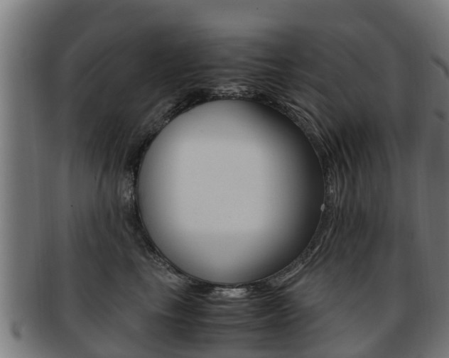 X0000091920665200709051232