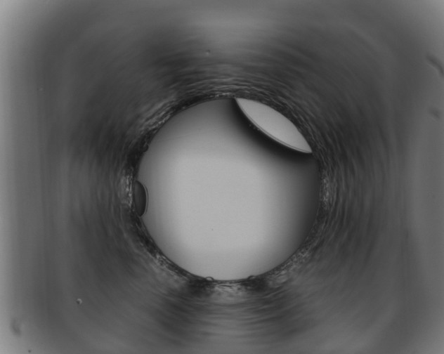 X0000091920666200709051232