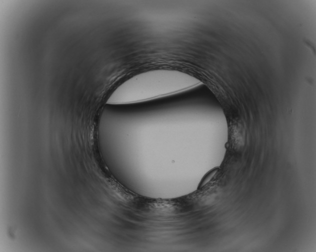 X0000091920668200709051232