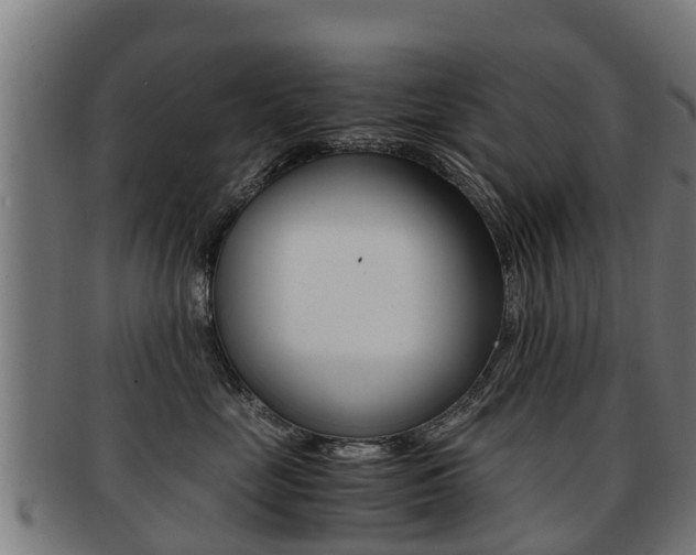 X0000091920669200709051232